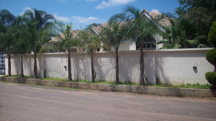 Front_yard_2.jpg